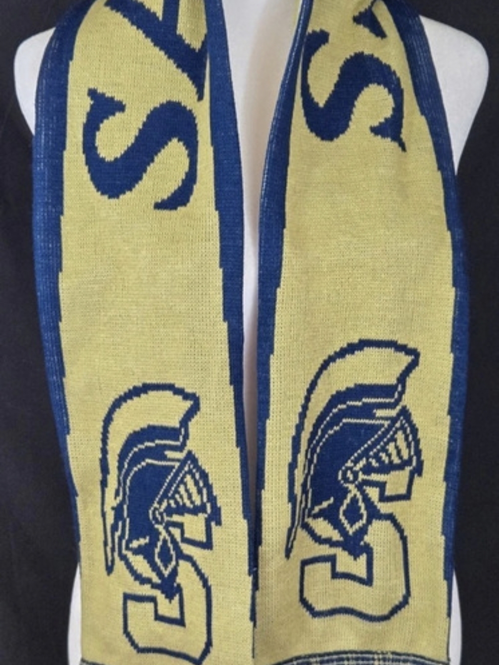 Hillsdale College Saints scarf Yellow & Blue Like New #751